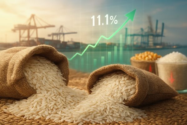 Rice Prices Surge 11.1% as Global Demand Decouples from Corn and Sugar Trends